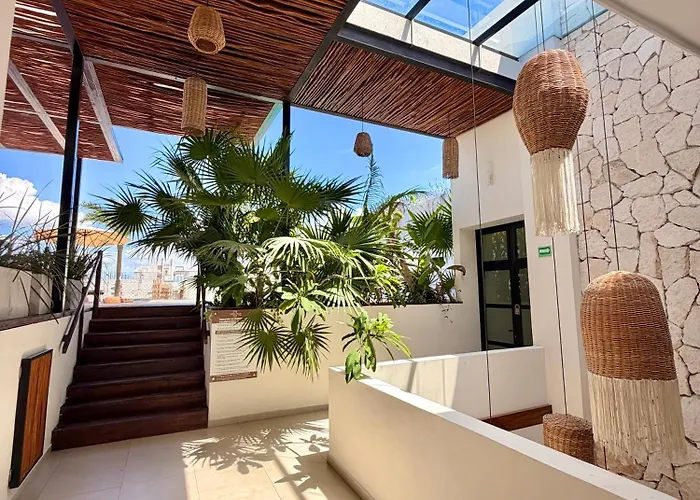 Ah Xok 5a Avenida Playa del Carmen